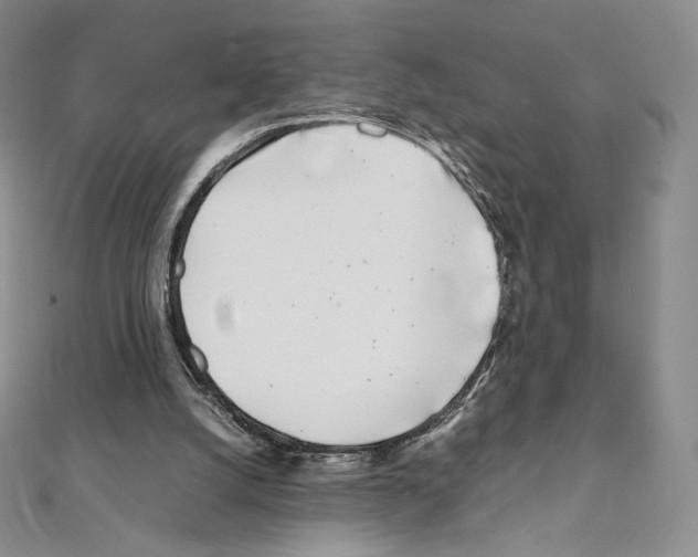 X0000111470056200908241350