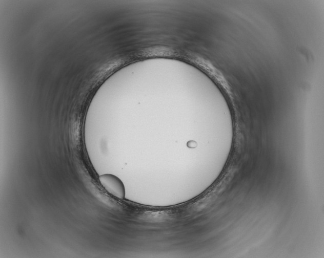 X0000111470057200908241350