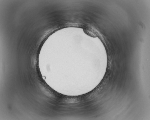 X0000111470059200908241350