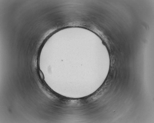 X0000111470060200908241351