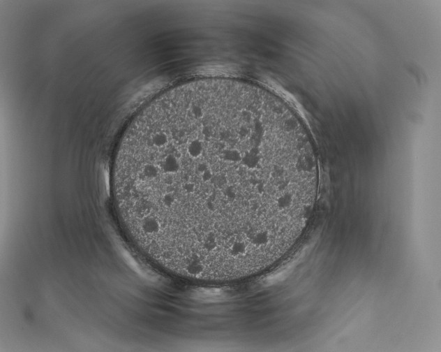 X0000111470061200908241351