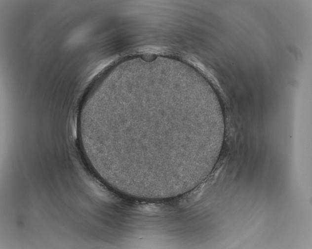 X0000111470062200908241351