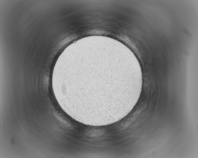 X0000111470063200908241351