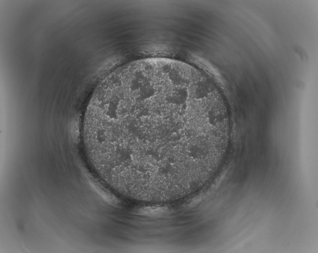 X0000111470065200908241351