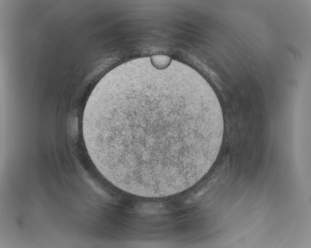 X0000111470067200908241351