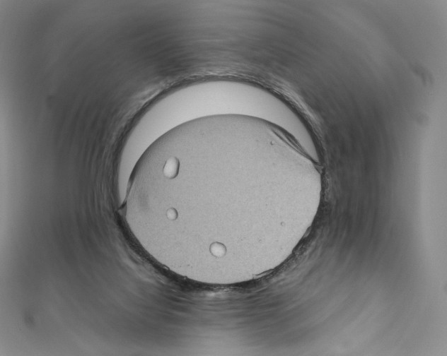 X0000111470068200908241351