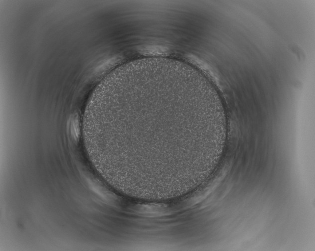 X0000111470069200908241351