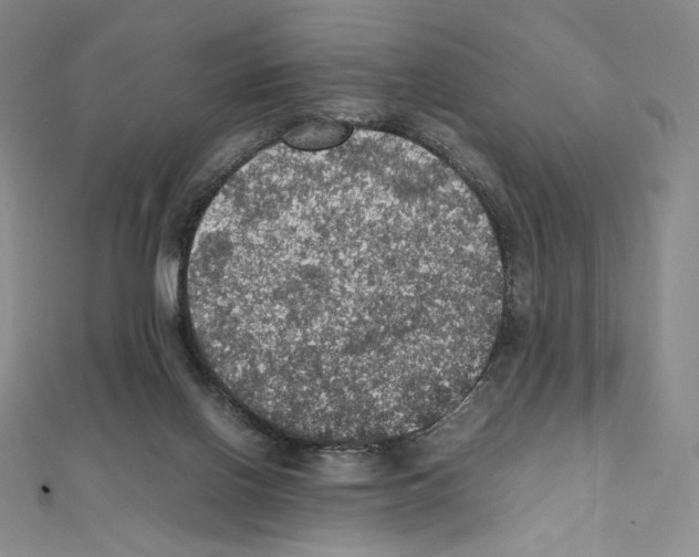 X0000111470070200908241351