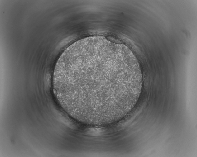 X0000111470071200908241351