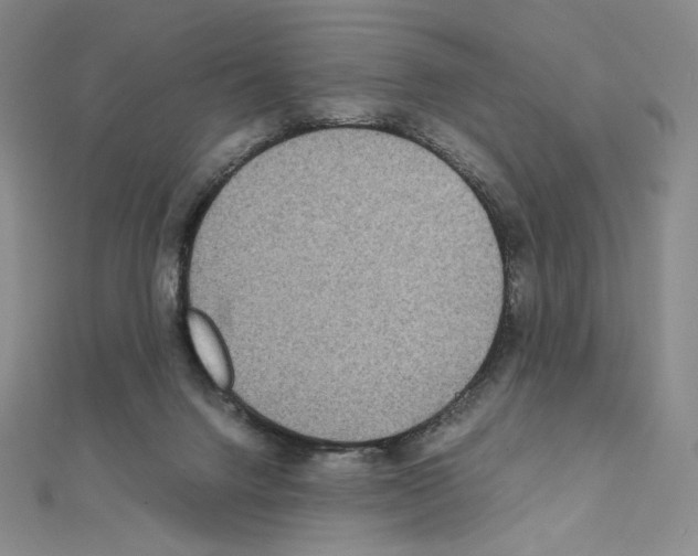 X0000111470072200908241351