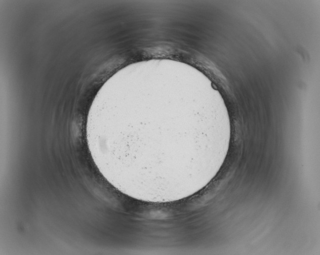 X0000111470073200908241351