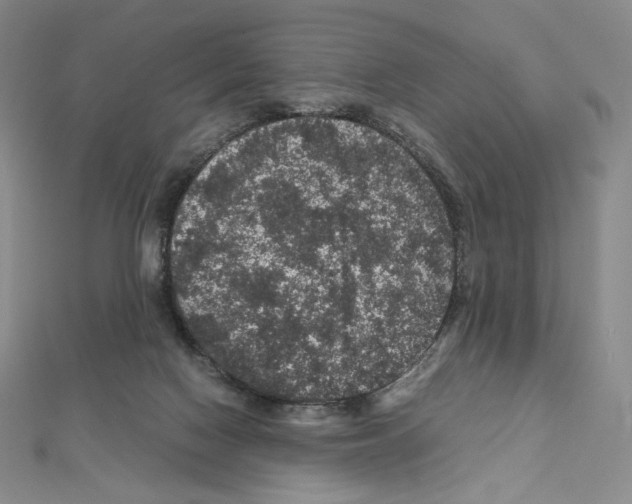 X0000111470074200908241351