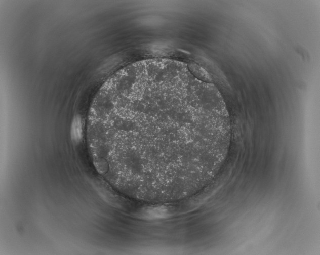 X0000111470075200908241351