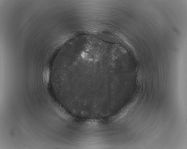 X0000111470076200908241351