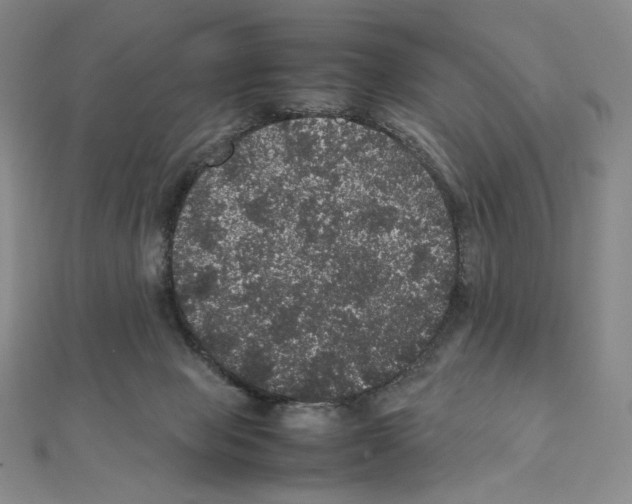 X0000111470077200908241351