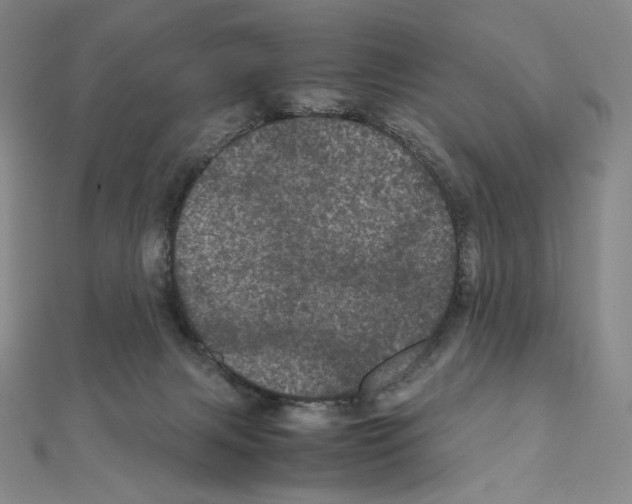 X0000111470079200908241351