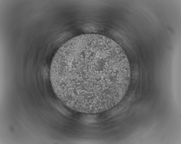 X0000111470081200908241351