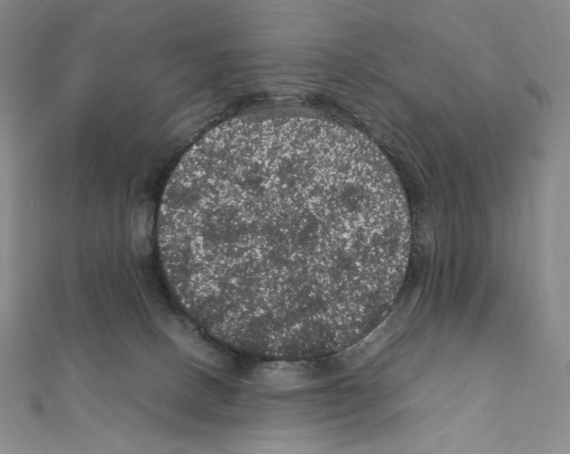 X0000111470082200908241351