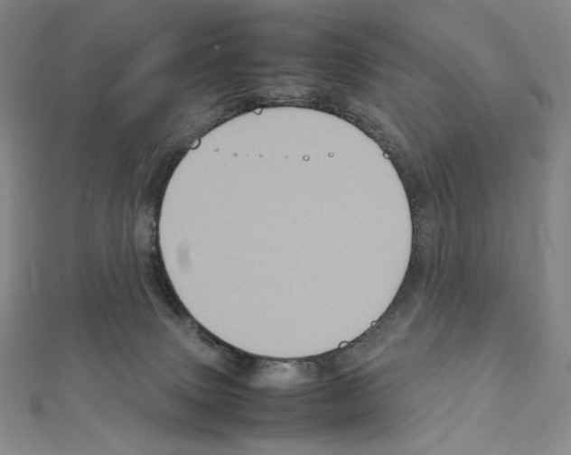 X0000111470083200908241351