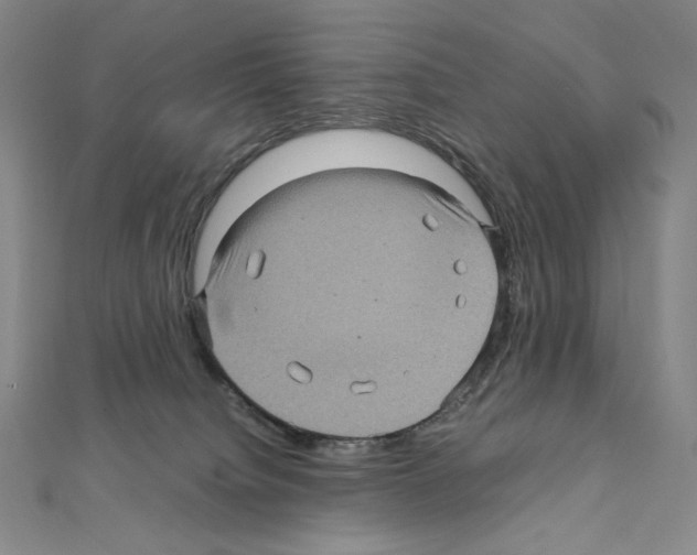 X0000111470084200908241351