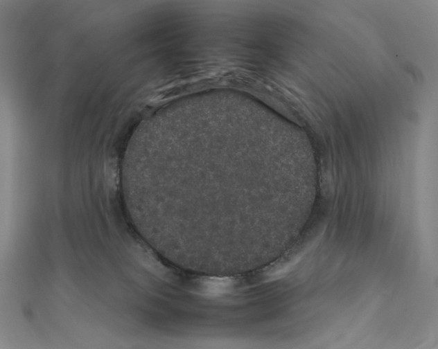 X0000111470085200908241351