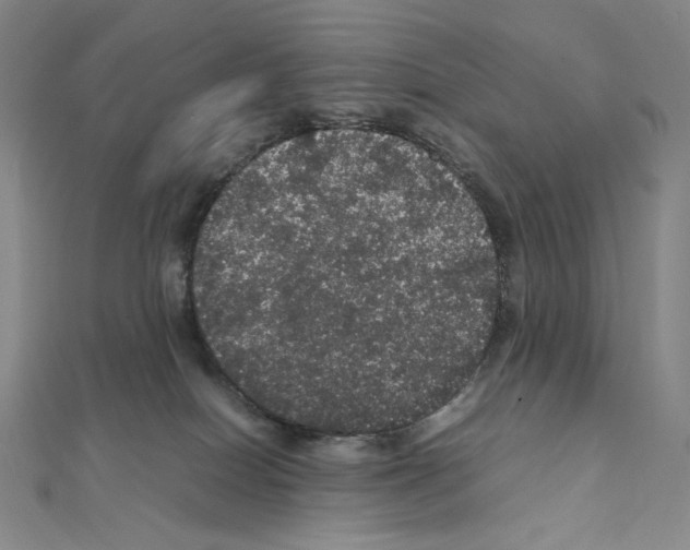 X0000111470086200908241351