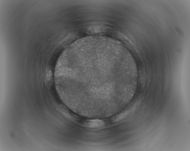 X0000111470087200908241351