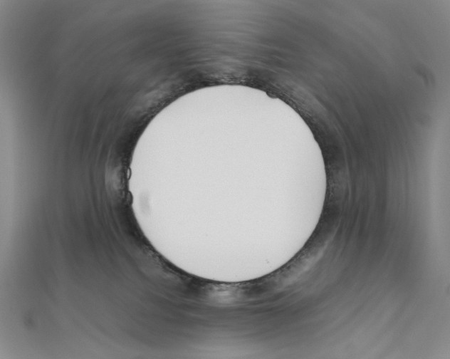 X0000111470088200908241351