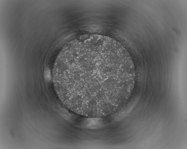 X0000111470089200908241351