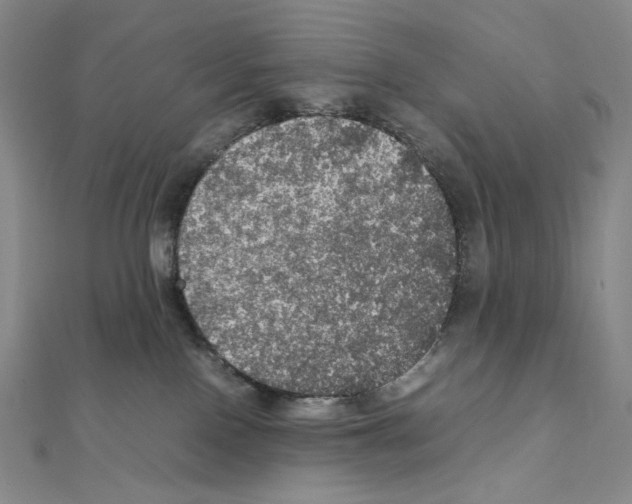 X0000111470090200908241351