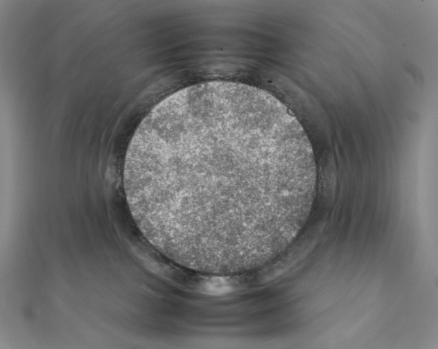 X0000111470091200908241351