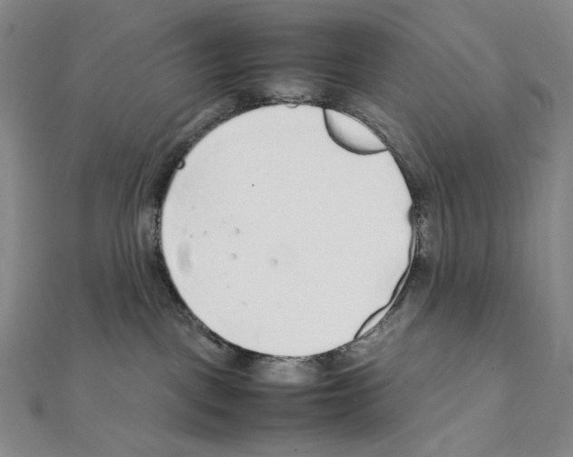 X0000111470093200908241351