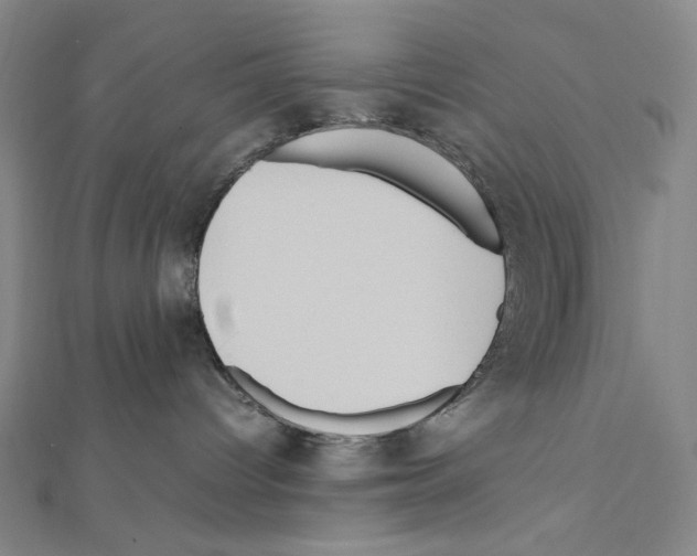 X0000111470096200908241351