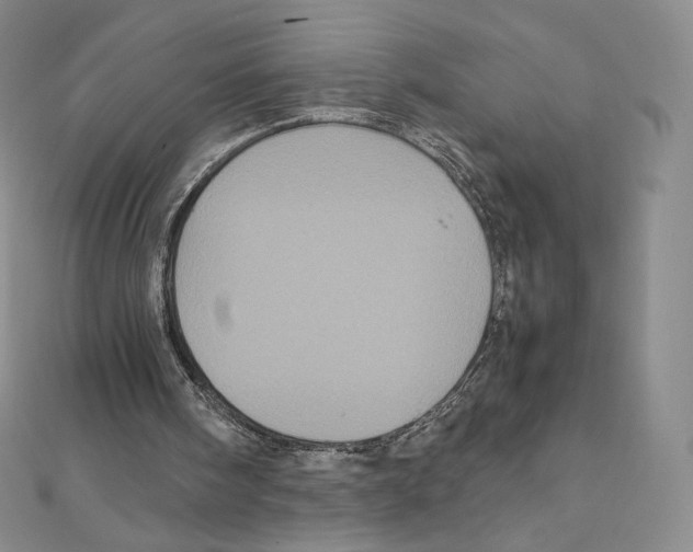 X0000111470098200908241350