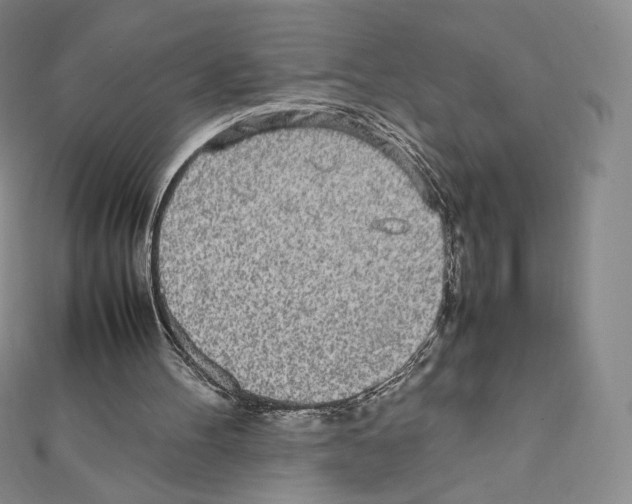 X0000111470100200908241350