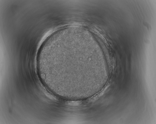 X0000111470102200908241350