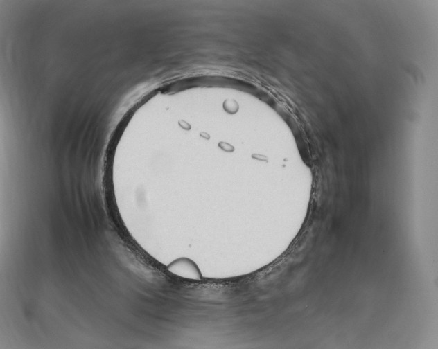 X0000111470104200908241350