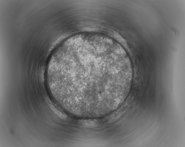 X0000111470106200908241350