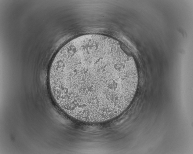 X0000111470107200908241350