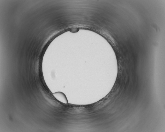 X0000111470108200908241350