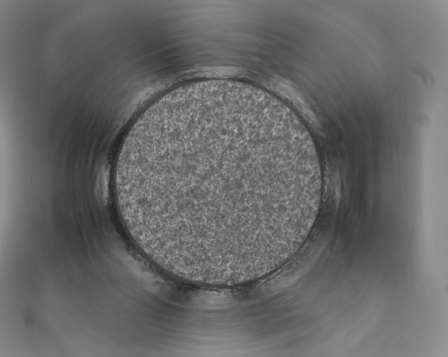 X0000111470110200908241350