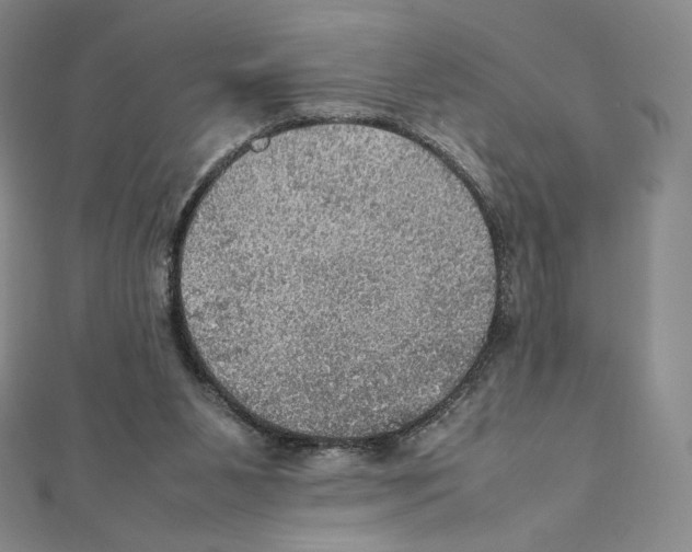 X0000111470111200908241350