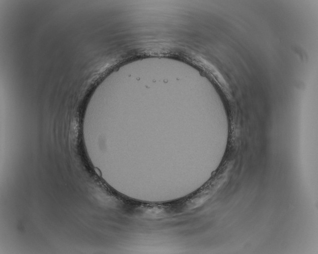 X0000111470113200908241350