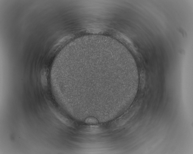 X0000111470114200908241350