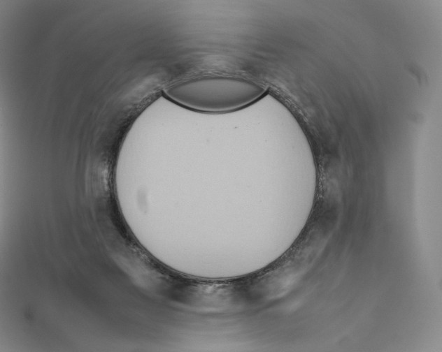 X0000111470117200908241350