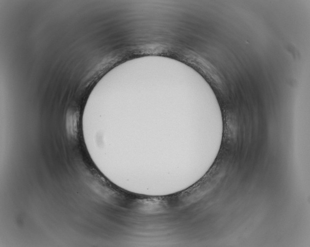 X0000111470118200908241350