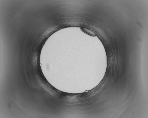 X0000111470120200908241350