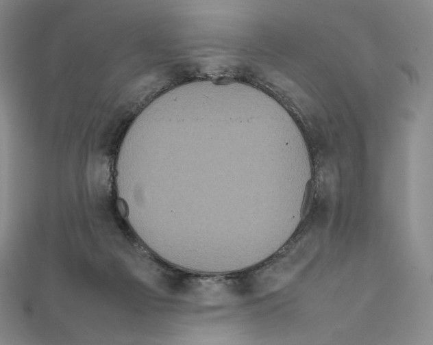 X0000111470121200908241350