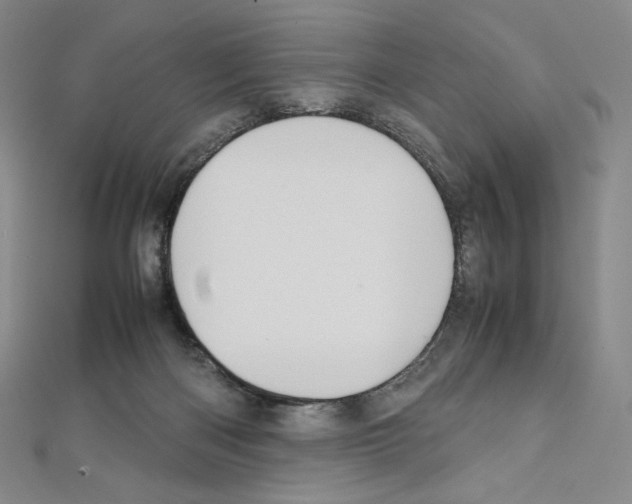 X0000111470122200908241350