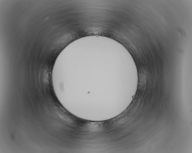 X0000111470126200908241350